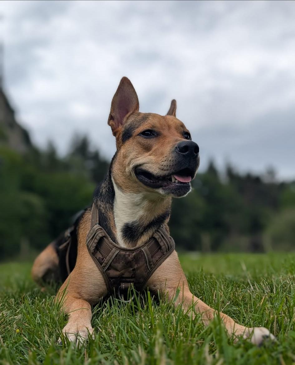 Kira